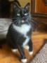 Agatha (3)2